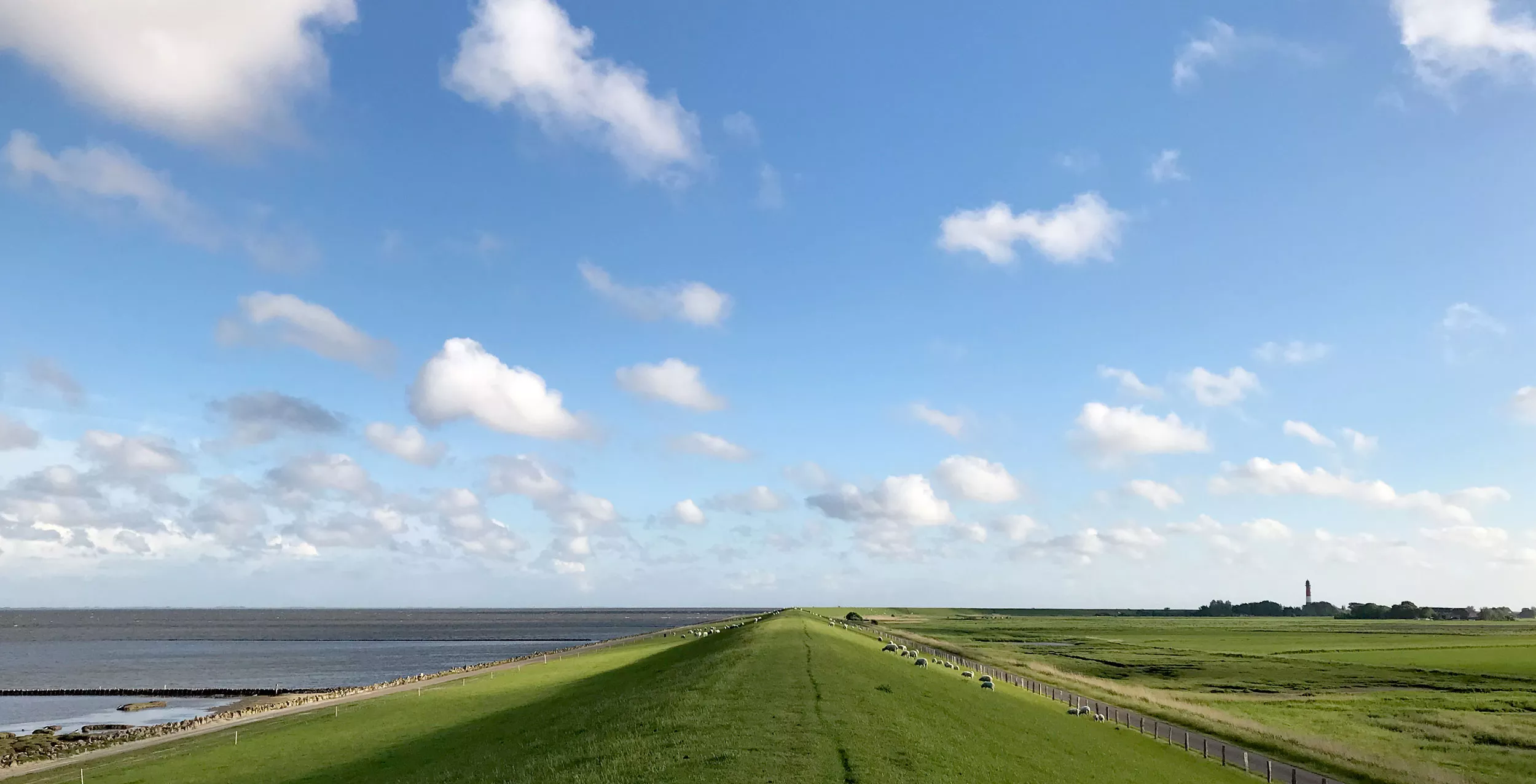 nordsee-insel-urlaub-in-familie-mit-hund-auf-pellworm